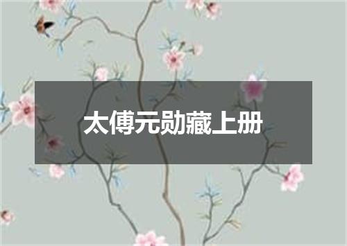 太傅元勋藏上册