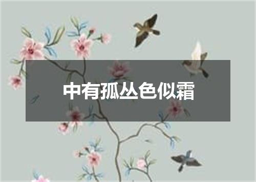 中有孤丛色似霜