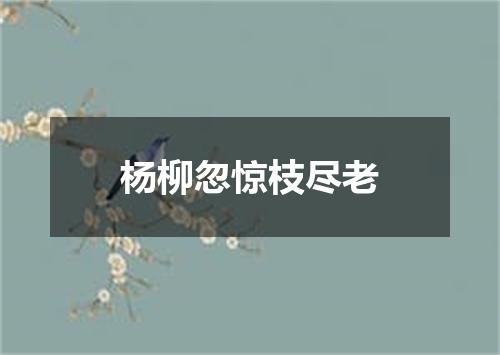 杨柳忽惊枝尽老