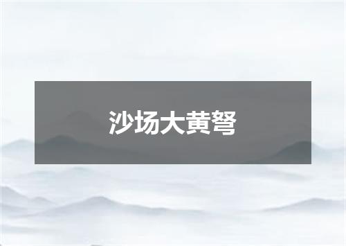 沙场大黄弩