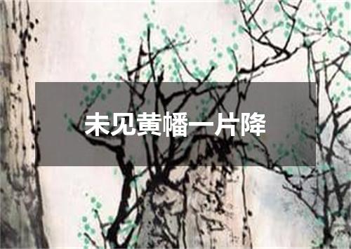 未见黄幡一片降