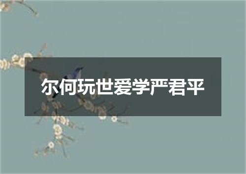 尔何玩世爱学严君平