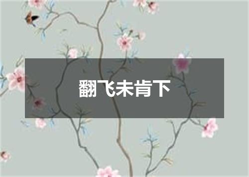 翻飞未肯下