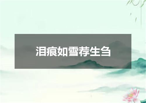 泪痕如雪荐生刍