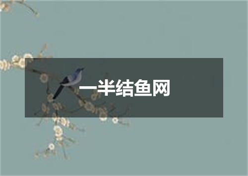 一半结鱼网