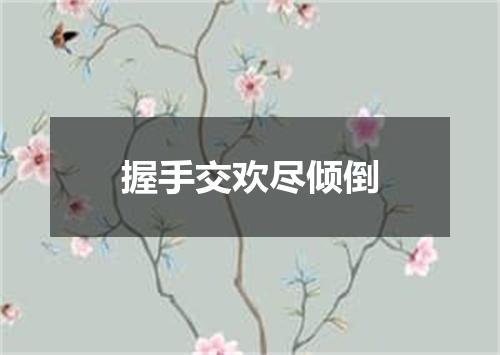 握手交欢尽倾倒