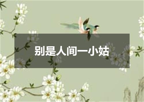 别是人间一小姑