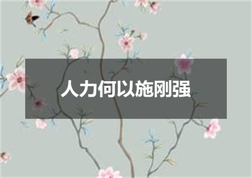人力何以施刚强