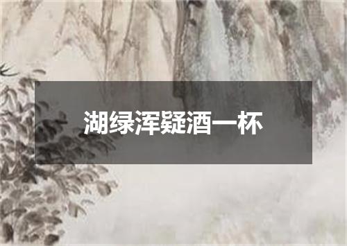 湖绿浑疑酒一杯