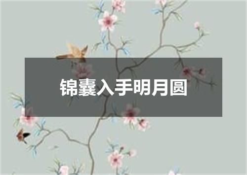 锦囊入手明月圆
