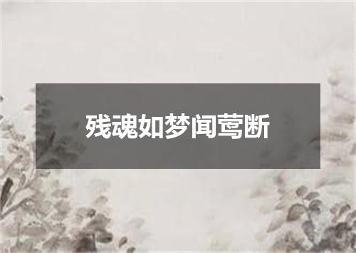 残魂如梦闻莺断