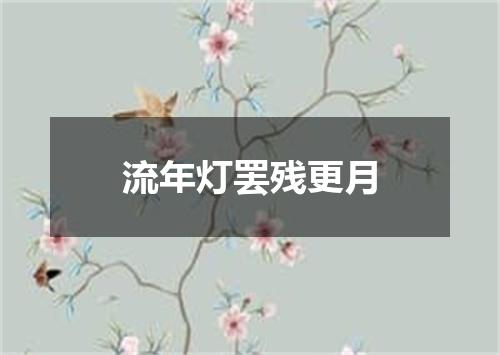 流年灯罢残更月