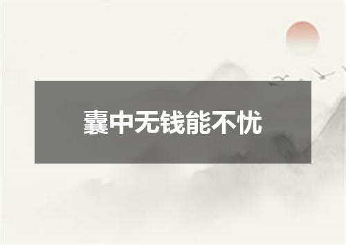 囊中无钱能不忧