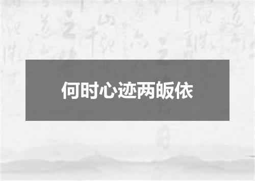 何时心迹两皈依