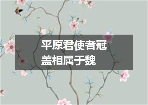 平原君使者冠盖相属于魏