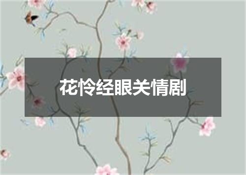 花怜经眼关情剧