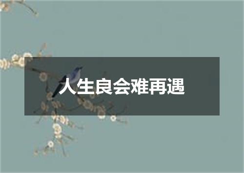 人生良会难再遇