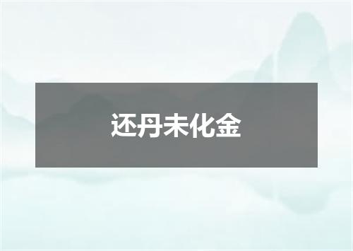 还丹未化金