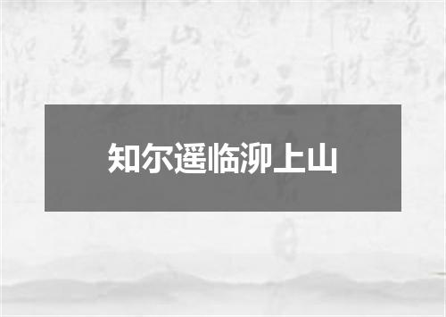 知尔遥临泖上山