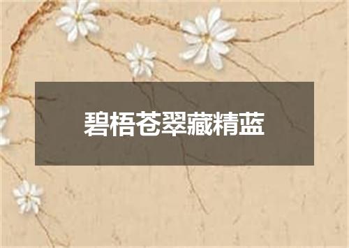碧梧苍翠藏精蓝