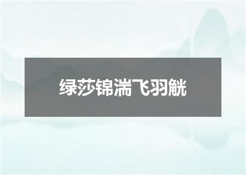 绿莎锦湍飞羽觥