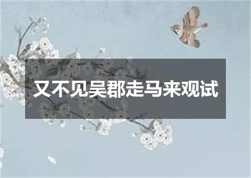 又不见吴郡走马来观试