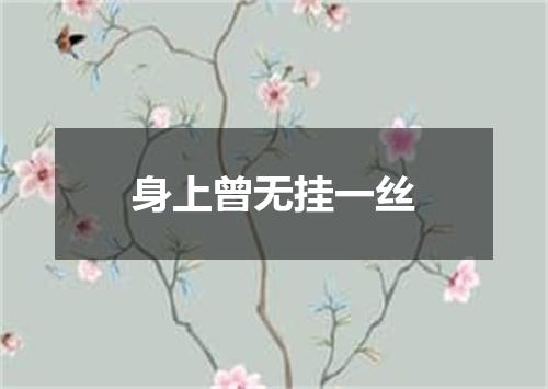 身上曾无挂一丝