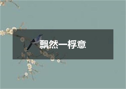 飘然一桴意
