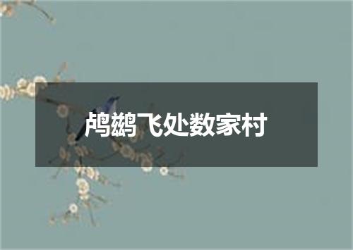 鸬鹚飞处数家村