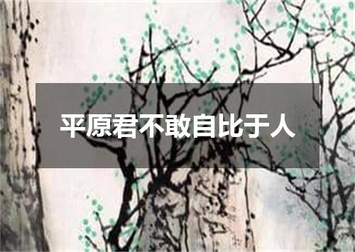 平原君不敢自比于人