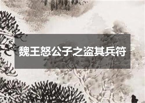 魏王怒公子之盗其兵符