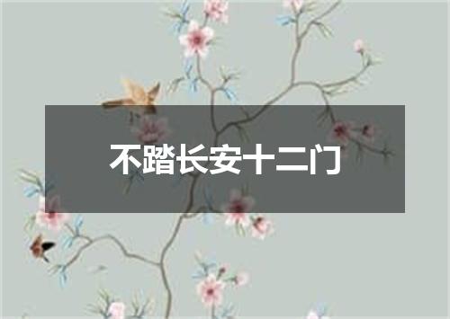不踏长安十二门