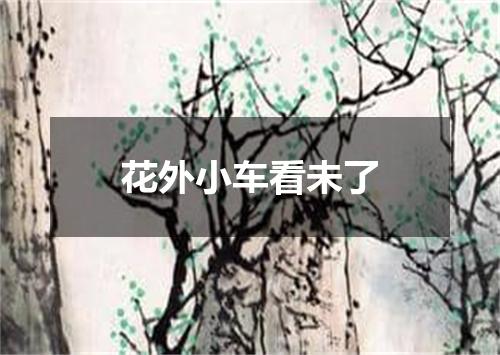 花外小车看未了