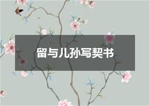 留与儿孙写契书