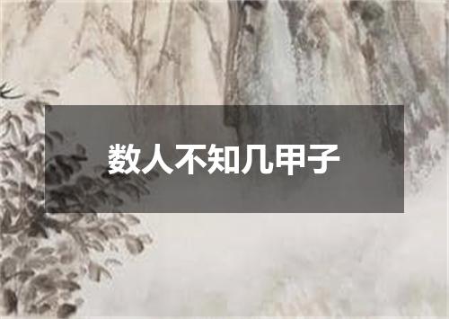 数人不知几甲子