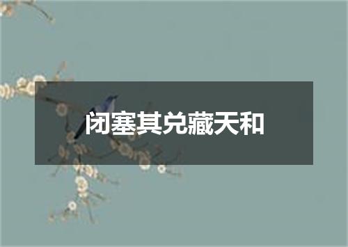 闭塞其兑藏天和