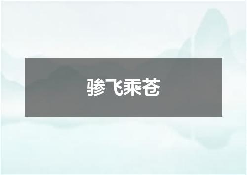 骖飞乘苍