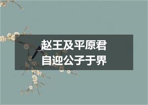 赵王及平原君自迎公子于界