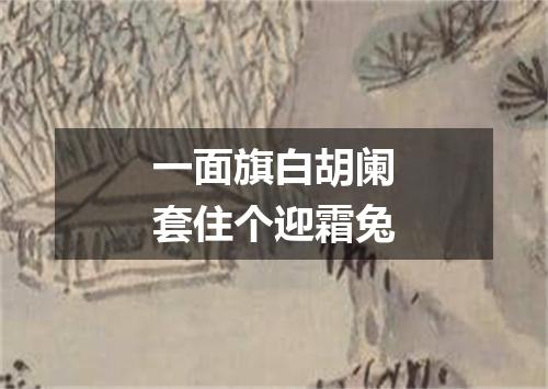 一面旗白胡阑套住个迎霜兔