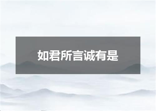 如君所言诚有是