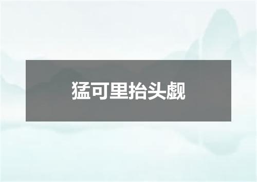 猛可里抬头觑