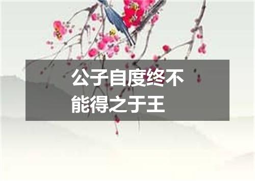 公子自度终不能得之于王