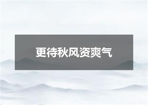 更待秋风资爽气