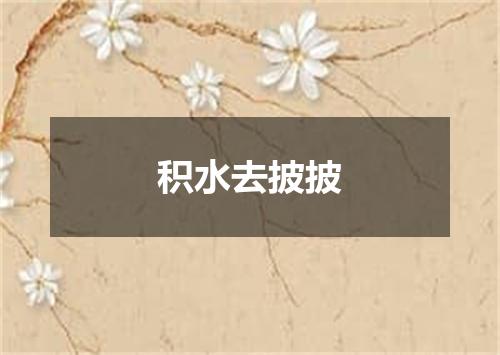 积水去披披