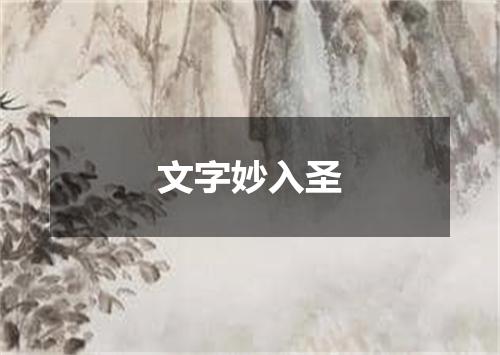 文字妙入圣
