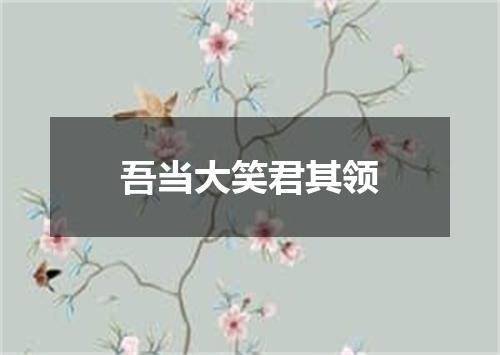 吾当大笑君其领