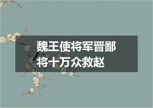 魏王使将军晋鄙将十万众救赵