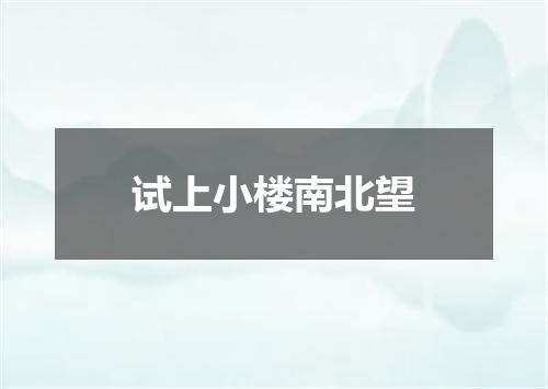 试上小楼南北望
