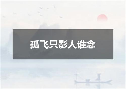 孤飞只影人谁念