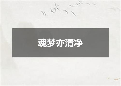 魂梦亦清净